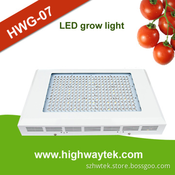Super Bloom LED Grow Light 600W